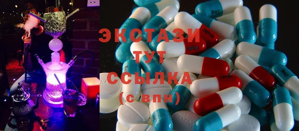 ECSTASY Богородск